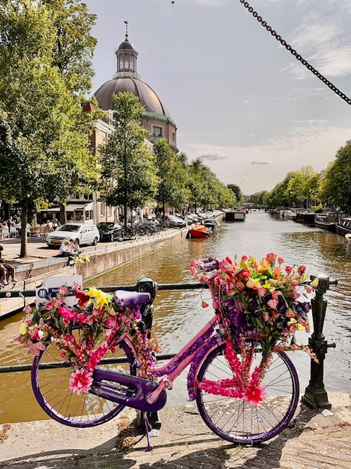 Bed & Breakfast Jo Amsterdam Diemerbrug Zewnętrze zdjęcie
